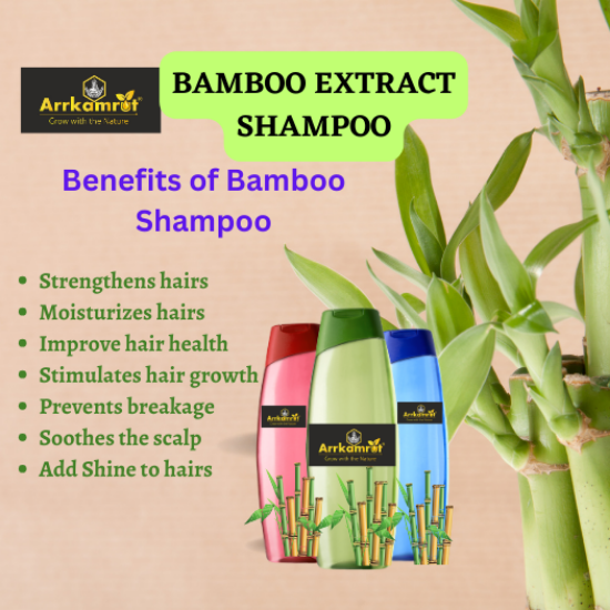 Picture of Bamboo Extract Shampoo